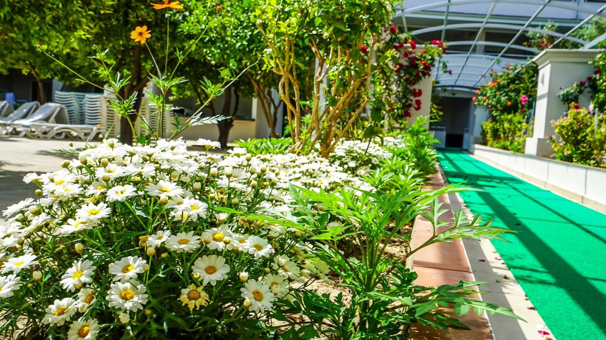 Catty Cats Garden Hotel Side Esterno foto